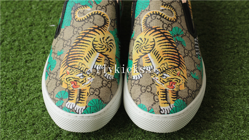 GC Brand Sneaker Low Top Tiger Pattern